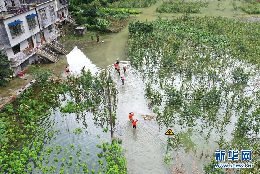(社会)(5)强降雨致广西36万人受灾