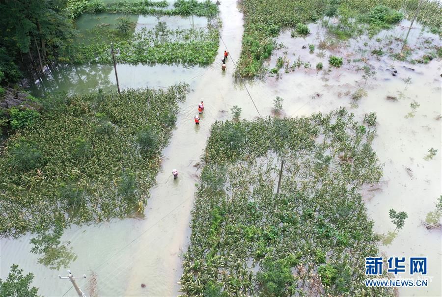 (社会)(3)强降雨致广西36万人受灾